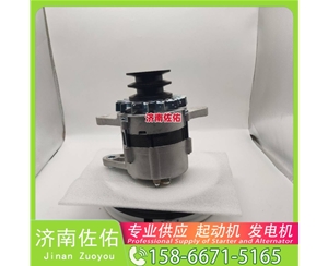 天津4105-44M.21.30-3起动机0001261001 朝柴 斯堪尼亚 发电机 HOWO Light 统帅 MC05