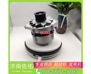 天津4996707起动机JFZ270-0625 朝柴 XCMG XE17 4JG1 发电机